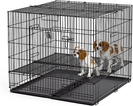 Puppy Playpen How To Stop Dog From Peeing In Crate How To Train