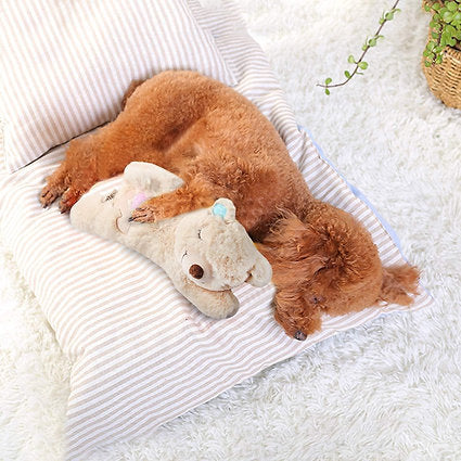 Snuggle Heartbeat Bear with Warmth Pack: Providing The Ultimate Transition for Puppies from the breeder to their Fur-Ever Home
