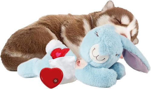 Perfect for Puppy Packs: Heartbeat Toy with Warmer and Pacifier