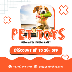 Puppy & Kitten Accessories
