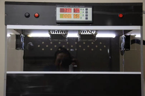 Puppy Safe Basic Incubator Set Up