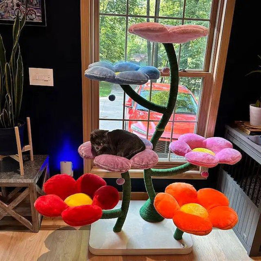 Maine Coon Flower Garden Cat Tree