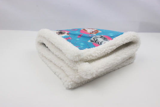 PS Puppy Blankets