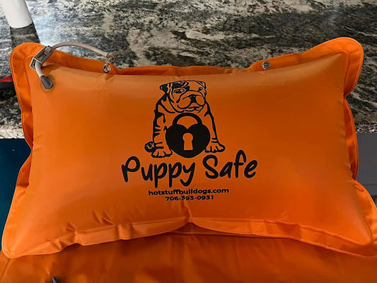 Puppy Safe Portable Oxygen Pillow