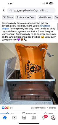 Puppy Safe Portable Oxygen Pillow